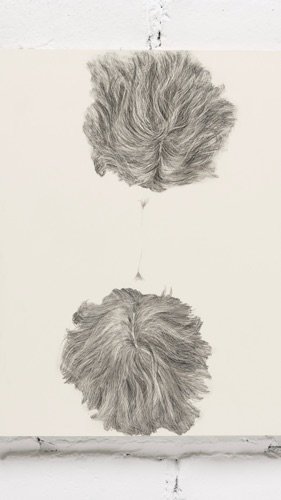Cimà Rahmankhah — artwork